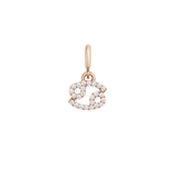 Zodiac Watch Charm Rose Gold