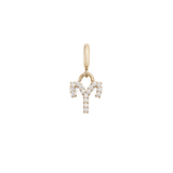 Zodiac Watch Charm Gold