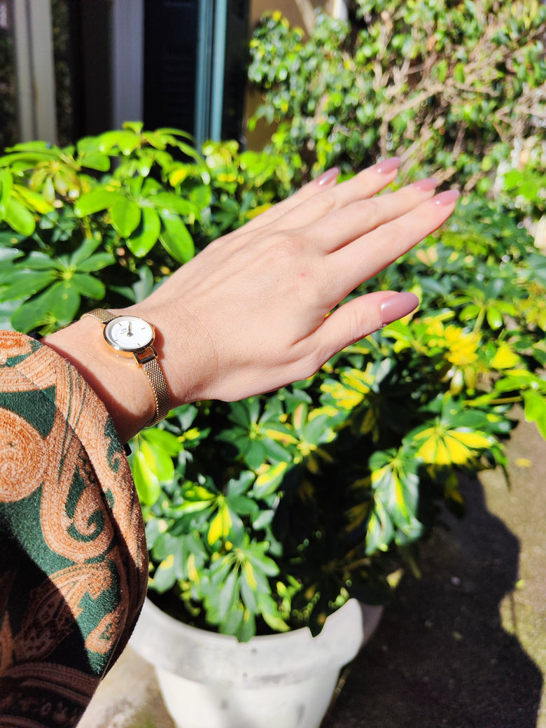 Photo from a customer review